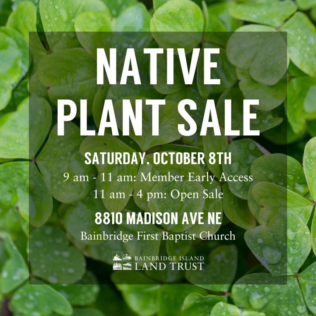 Save the Date 2022 Native Plant Sale Bainbridge Island Land Trust