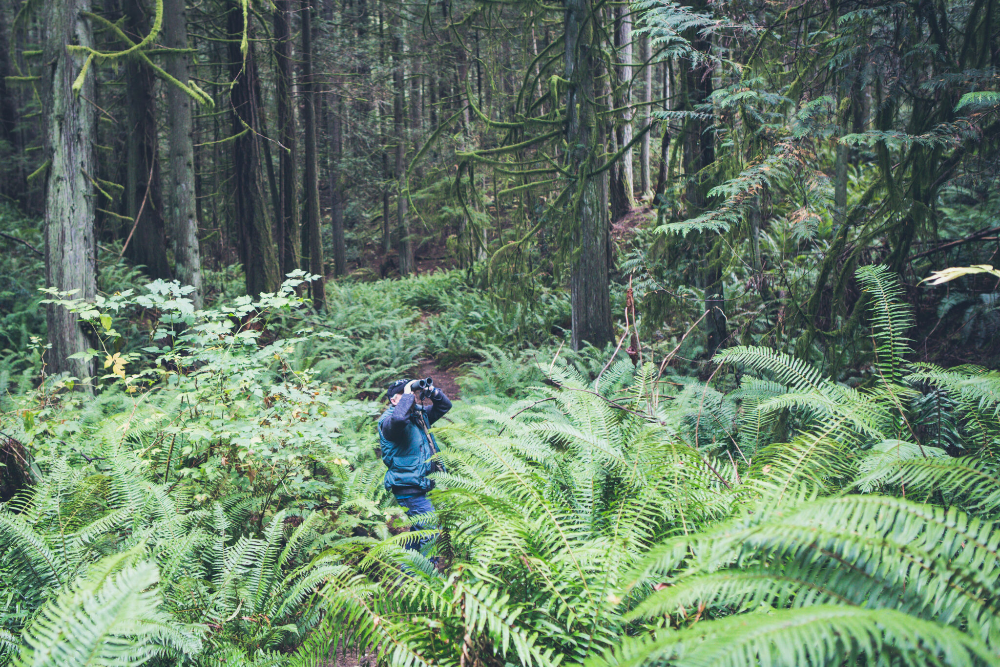 Donate to a Member Bainbridge Island Land Trust