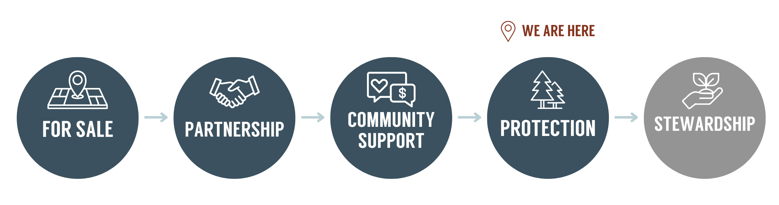 Infographic showing the steps to protect the property: For sale to partnership to community support to protection to stewardship. A "you are here" marker notes that we are now at the Protection step in the process.