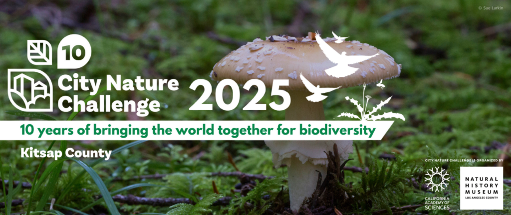 2025 City Nature Challenge: Kitsap County - Bainbridge Island Land