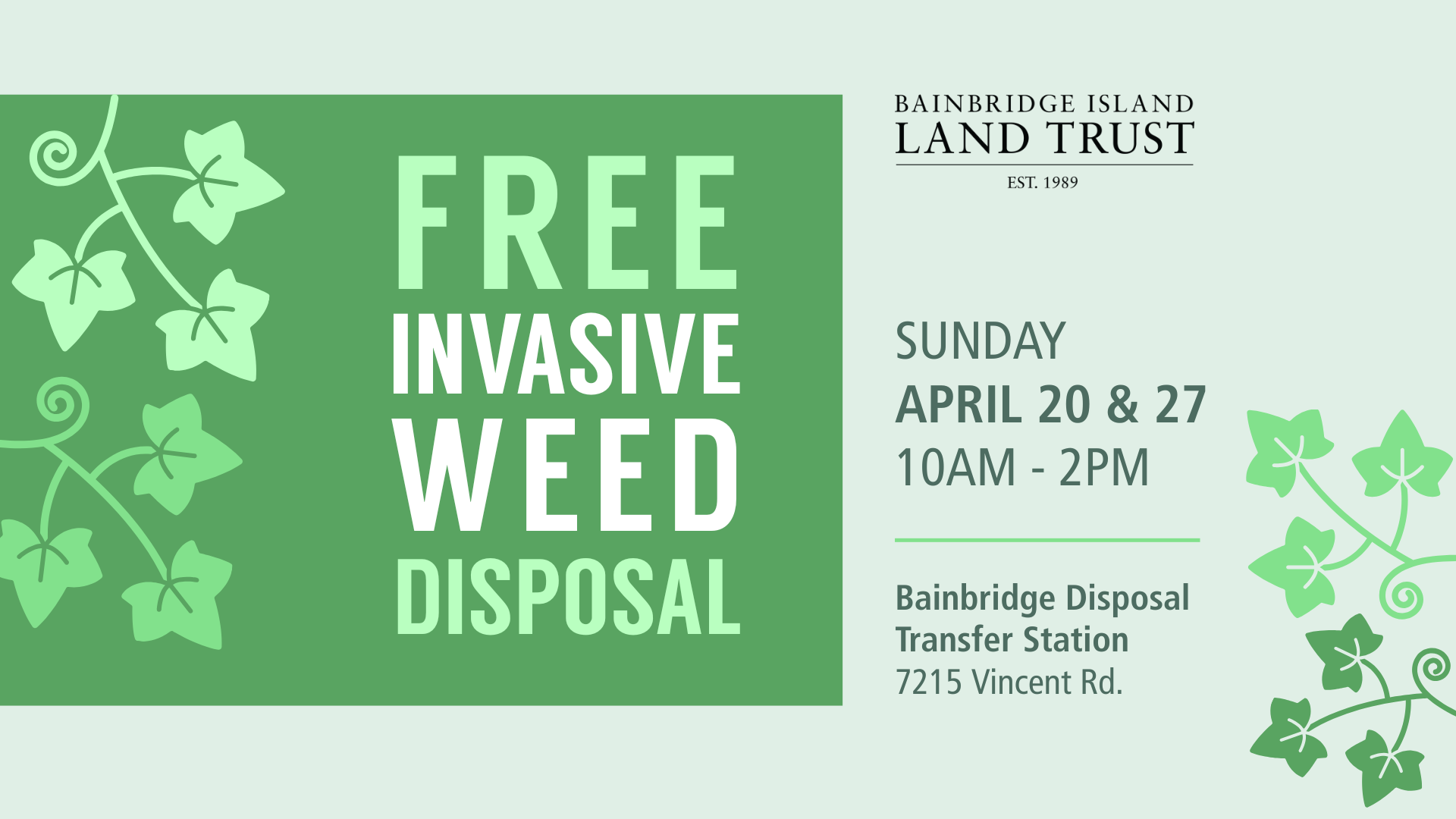Free invasive weed disposal flyer with illustrations of English ivy