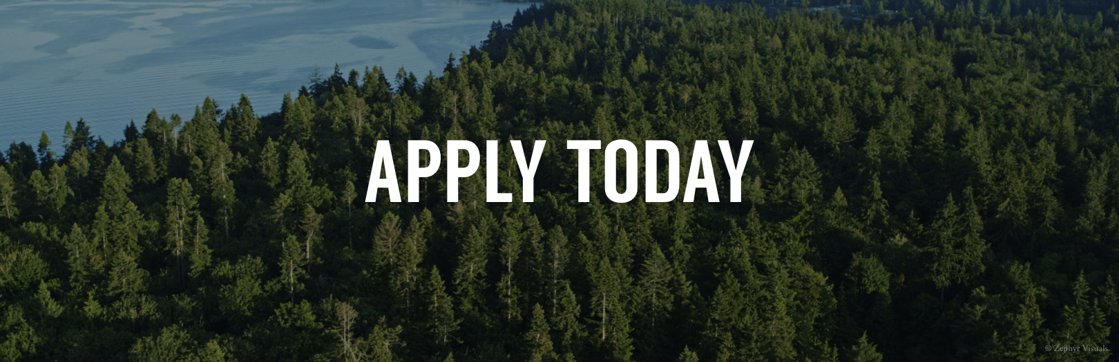 Aerial photo of dense conifer forest at Rockaway Bluff Preserve. header overlay reads "Apply today"